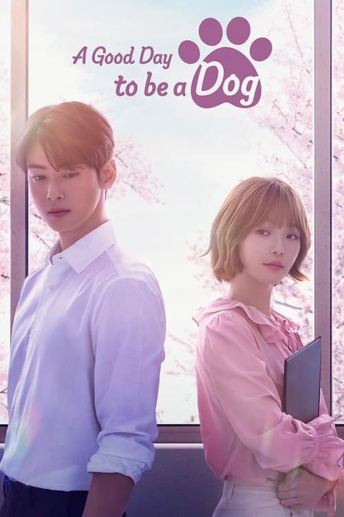 Watch A Good Day to be a Dog (2023) Korean Drama With English Subtitles Online | Watch K-Drama Online Free – Finder18.in