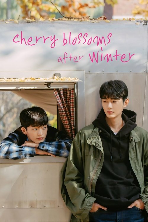 Watch Cherry Blossoms After Winter (2022) Korean Drama With English Subtitles Online | Watch K-Drama Online Free