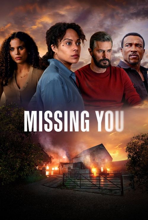 Download Missing You NetFlix Original WEB Series (2025) Season 1 Complete Dual Audio {Hindi-English}